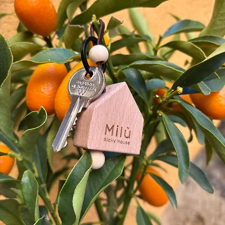 Milu Sicily House